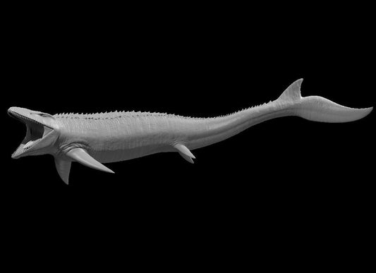 Mosasaurs (2 Variants Available) - MZ4250