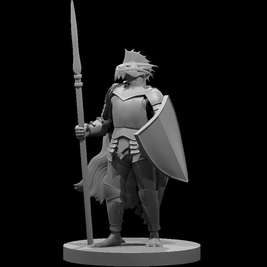 Dragonborn Paladins (3 Variants Available) - MZ4250