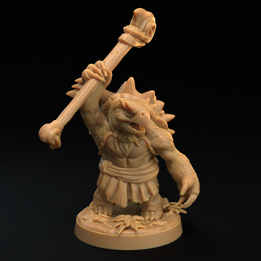 Tortun Rough Shells, Turtle Folk (4 Variants Available) - Dragon Trapper's Lodge