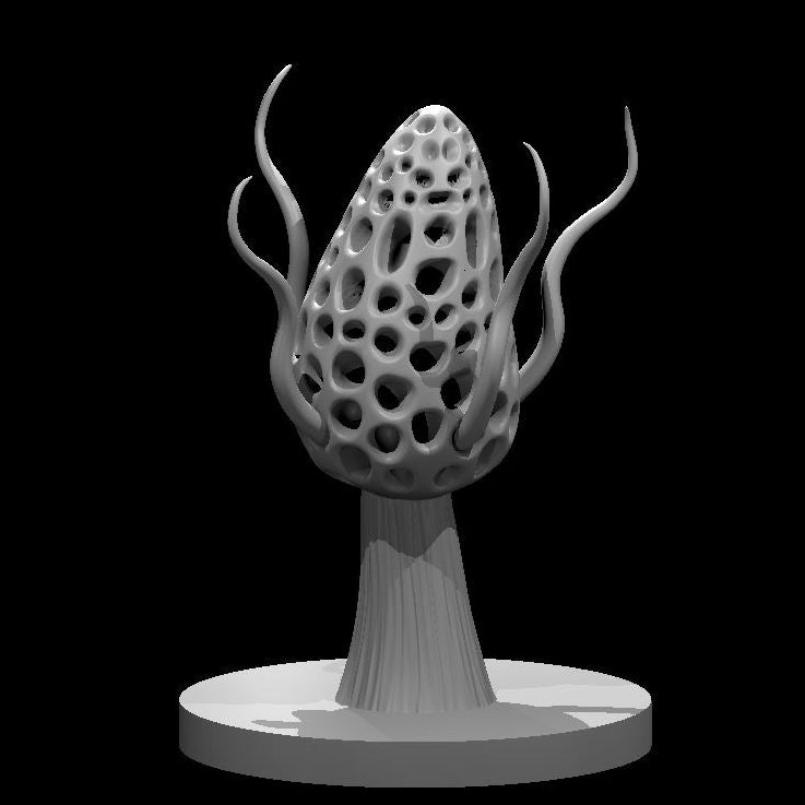 Fungus (6 Variants Available) - MZ4250