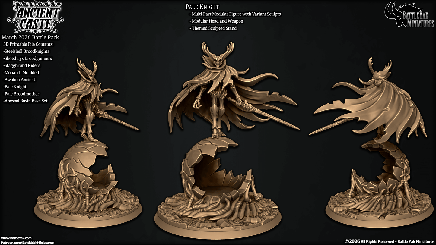 Pale Knight, Cloaked Insectoid Hero (2 Variants Available) - Battle Yak