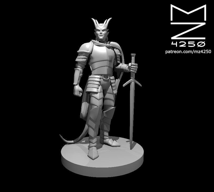 Tiefling Paladin (4 Variants Available) - MZ4250