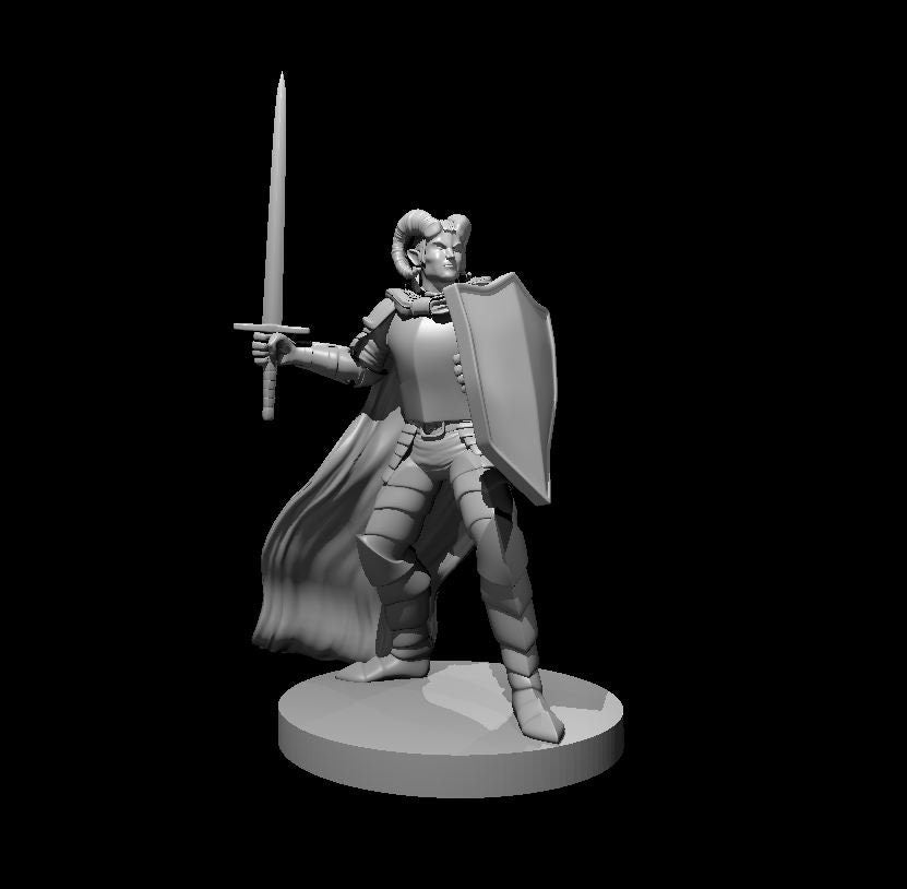 Tiefling Paladin (4 Variants Available) - MZ4250