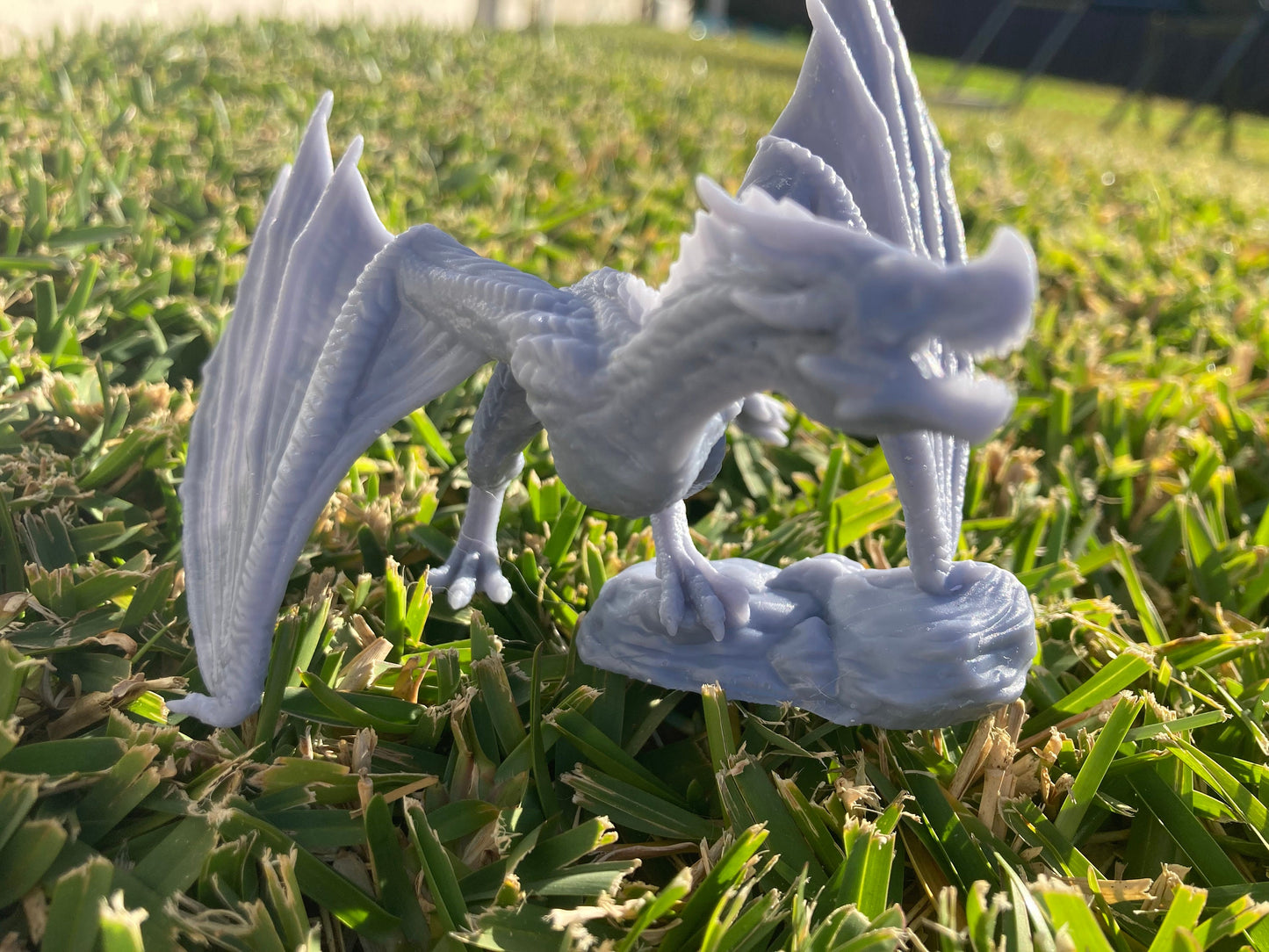 Wyvern - Brayan Nafarrate