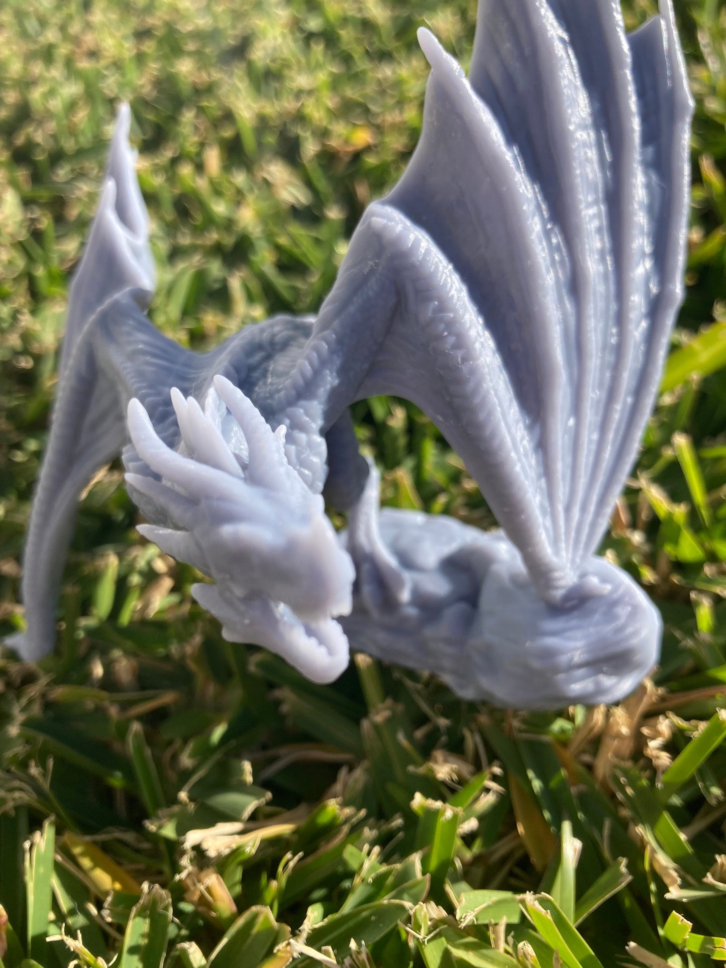 Wyvern - Brayan Nafarrate