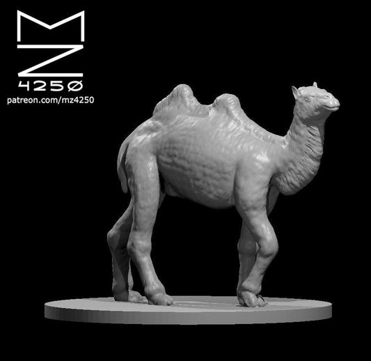 Camels (3 Variants Available) - MZ4250