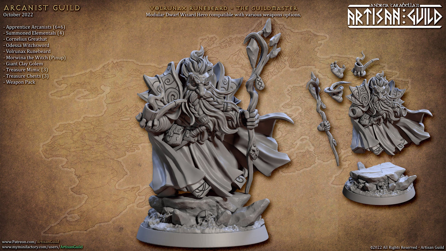 Volrunax Runebeard, Guildmaster - Artisan Guild