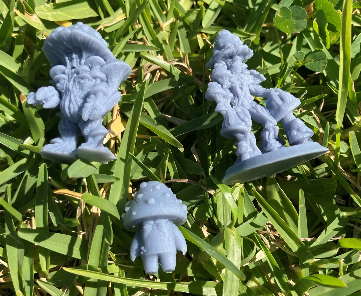 Mushrooms (3 Variants Available) - Brayan Nafarrate