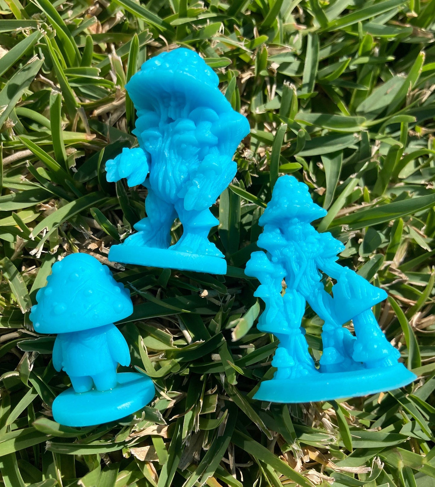 Mushrooms (3 Variants Available) - Brayan Nafarrate