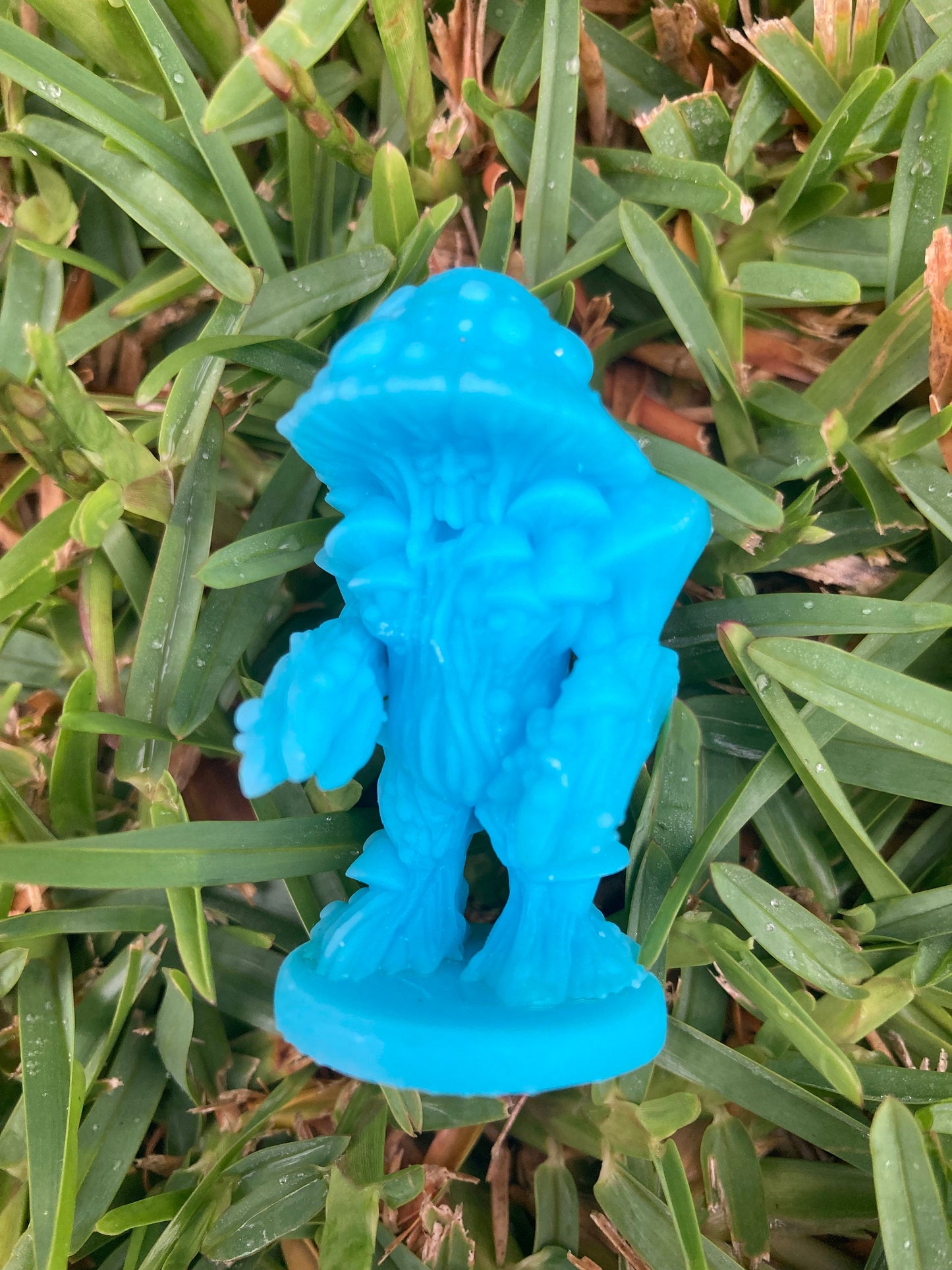 Mushrooms (3 Variants Available) - Brayan Nafarrate