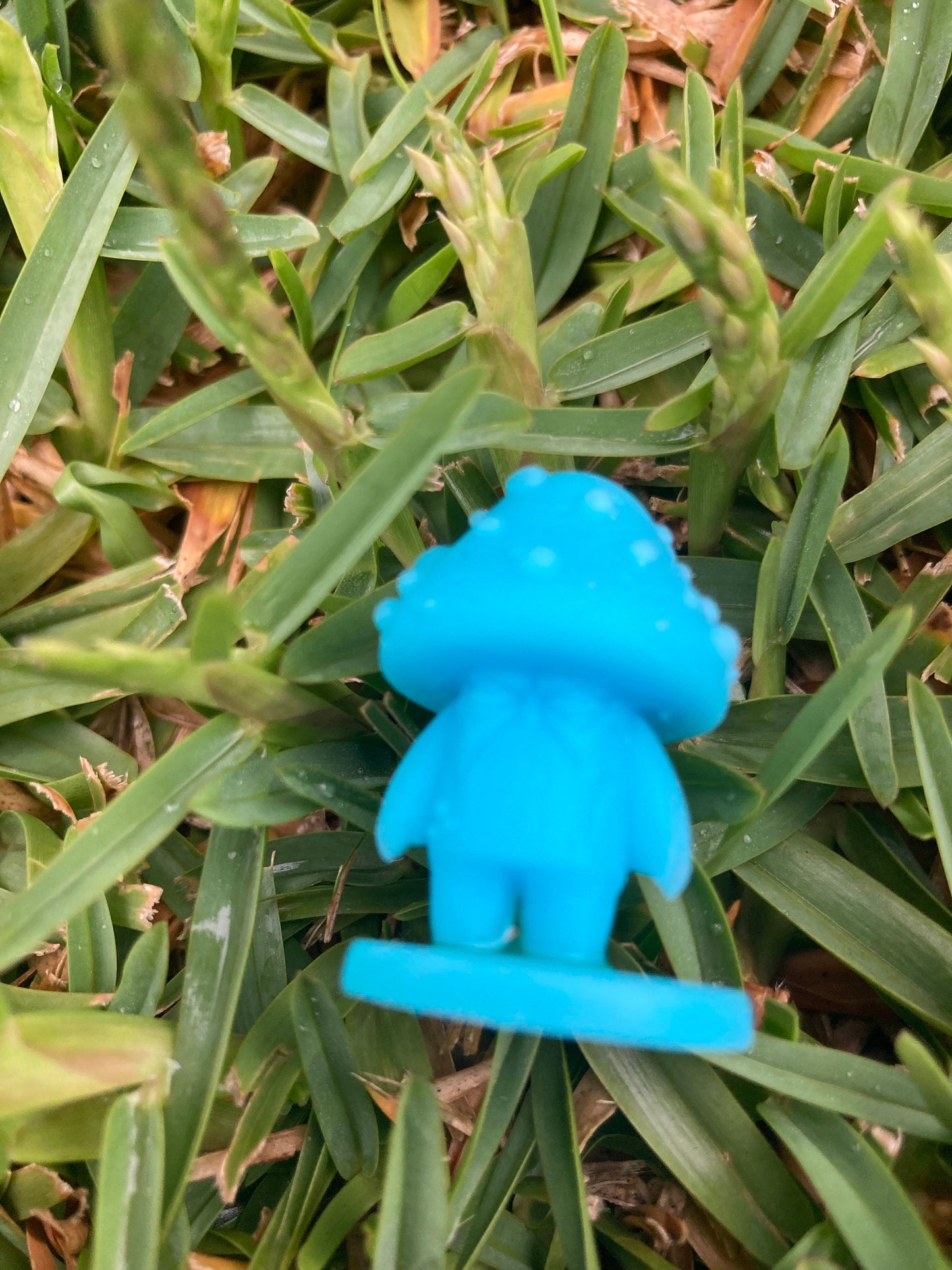 Mushrooms (3 Variants Available) - Brayan Nafarrate