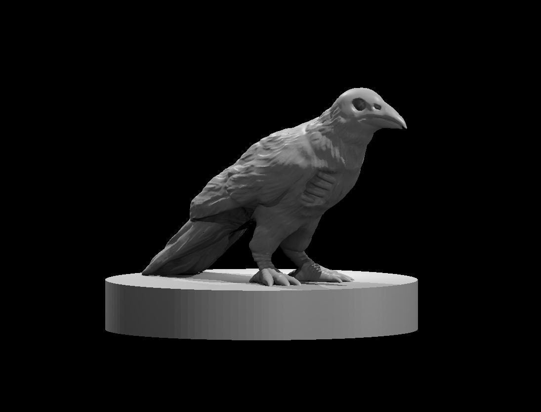Zombie Raven (2 Variants Available) - MZ4250