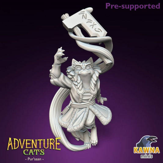 Pur'Saan Cleric (2 Variants Available) - Kawna Minis