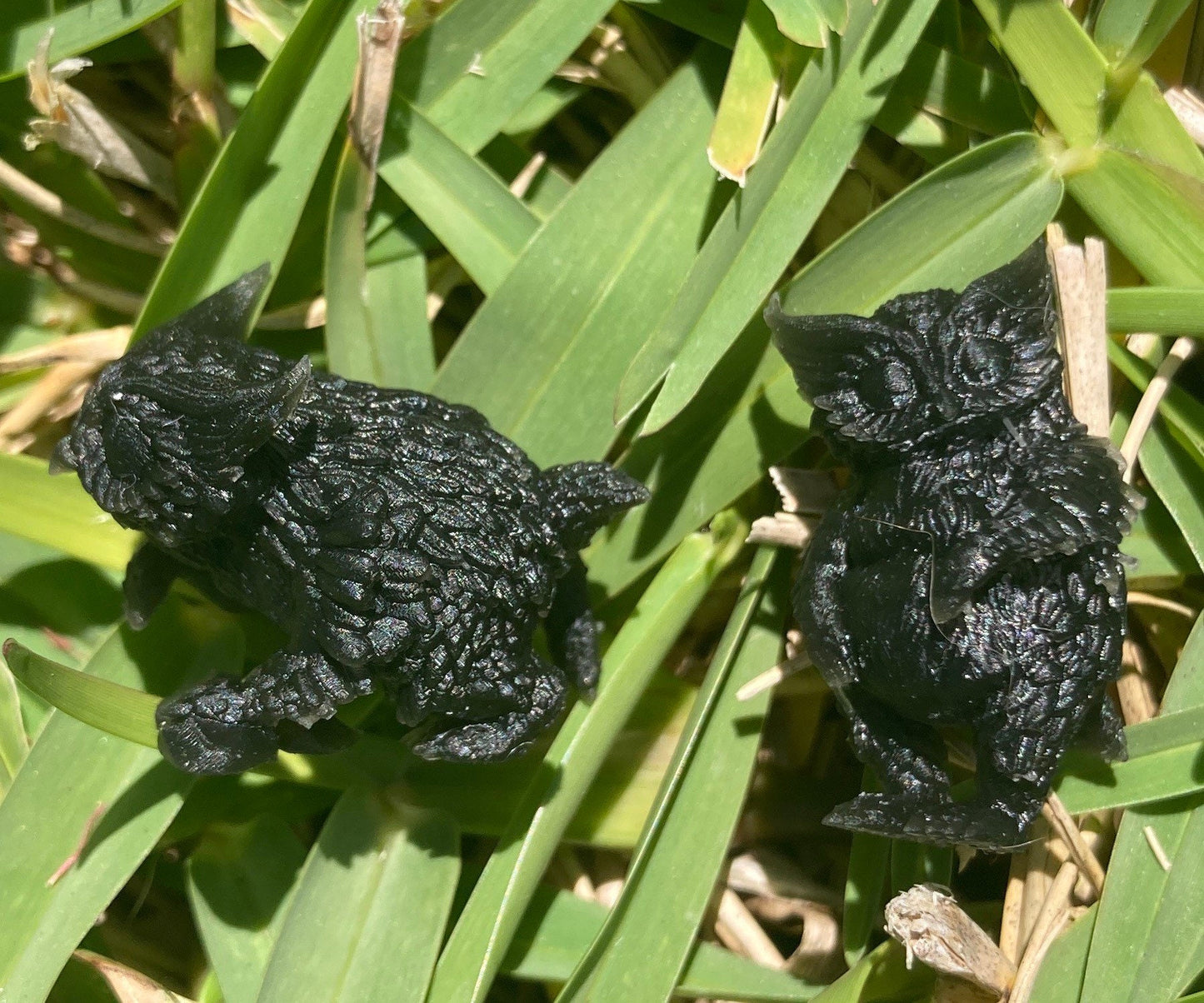 Owlbear Baby (4 Variants Available) - Epic Miniatures