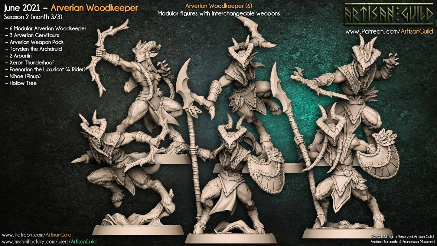 Arverian Woodkeepers (6 Variants Available) - Artisan Guild
