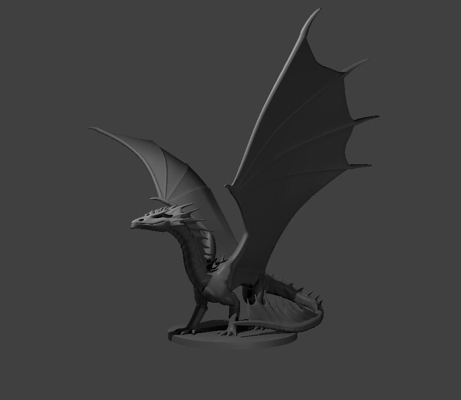 Miscellaneous Dragons (5 Variants) - MZ4250