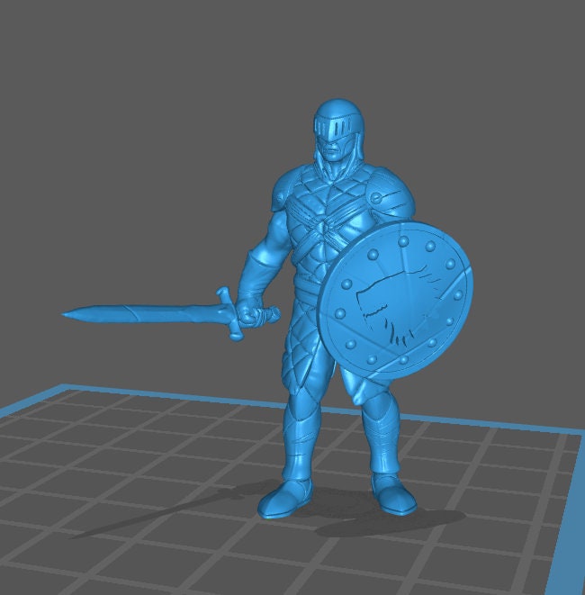 Guard (4 Poses Available) - Brayan Nafarrate