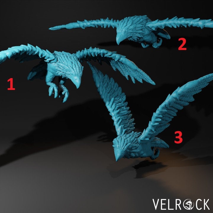 Hawk (3 Variants Available) - Velrock