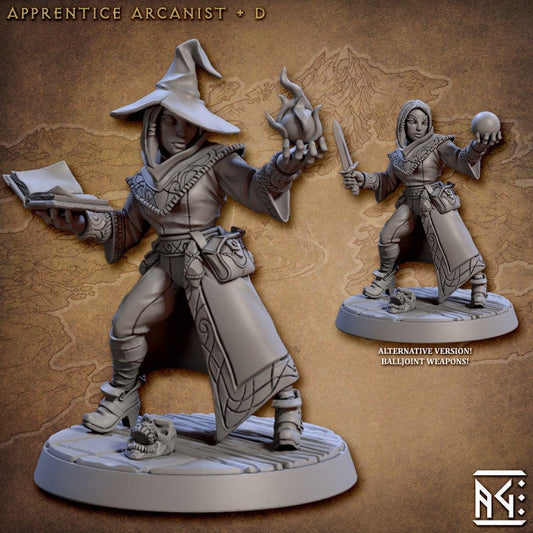 Arcanist Apprentice D (2 variants available) - Artisan Guild