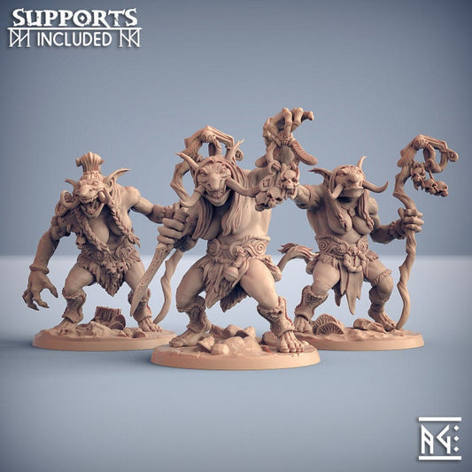 Swartwood Troll Hags (3 Variants Available) - Artisan Guild
