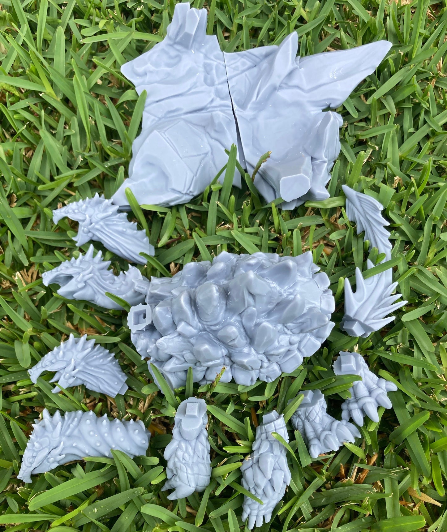 Turtle Hydra - Brayan Nafarrate