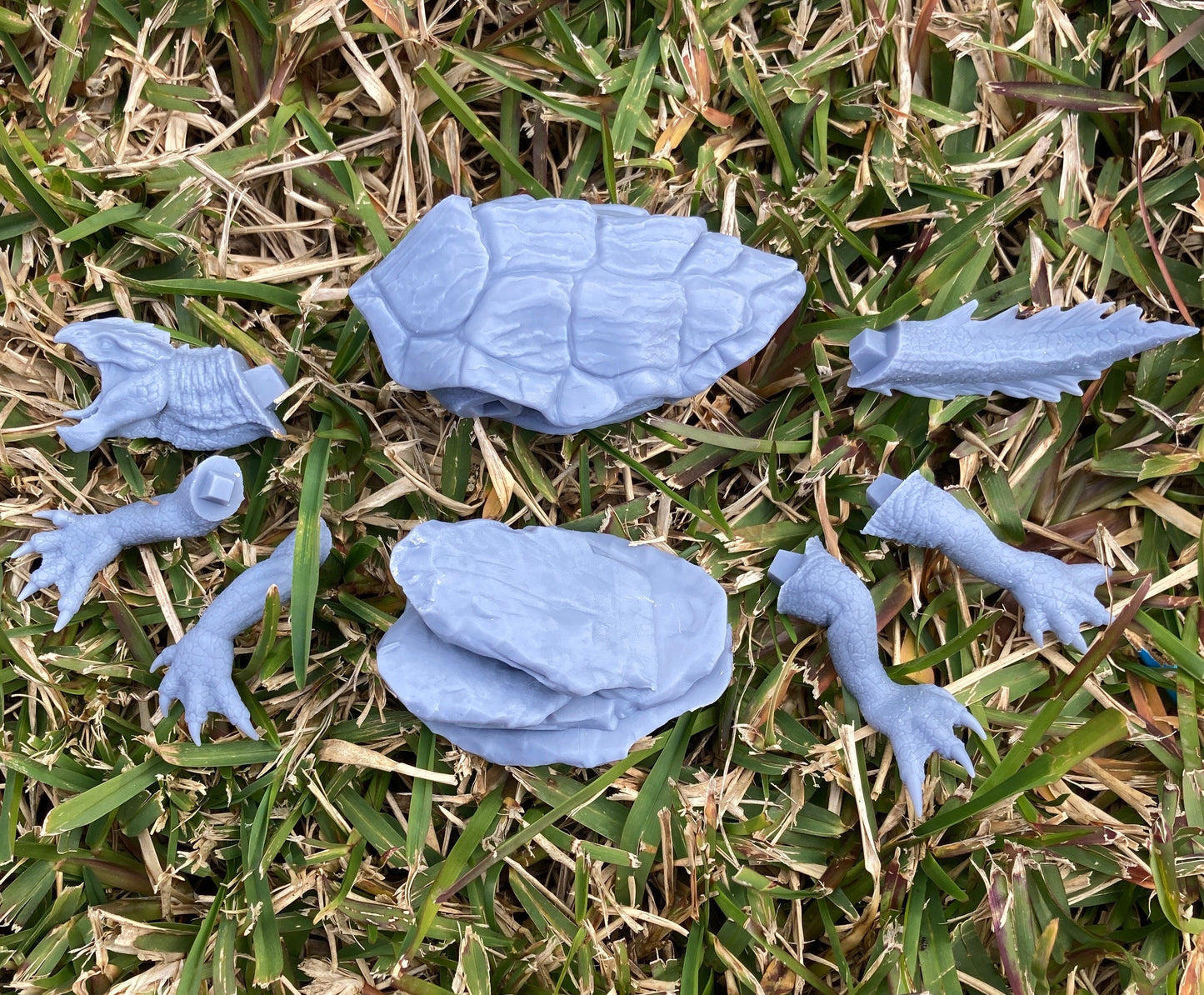 Dragon Turtle - Brayan Nafarrate