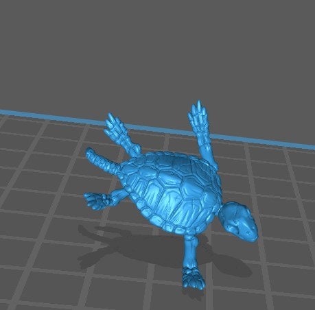 Skeleton Turtle (3 Variants Available) - Brayan Nafarrate