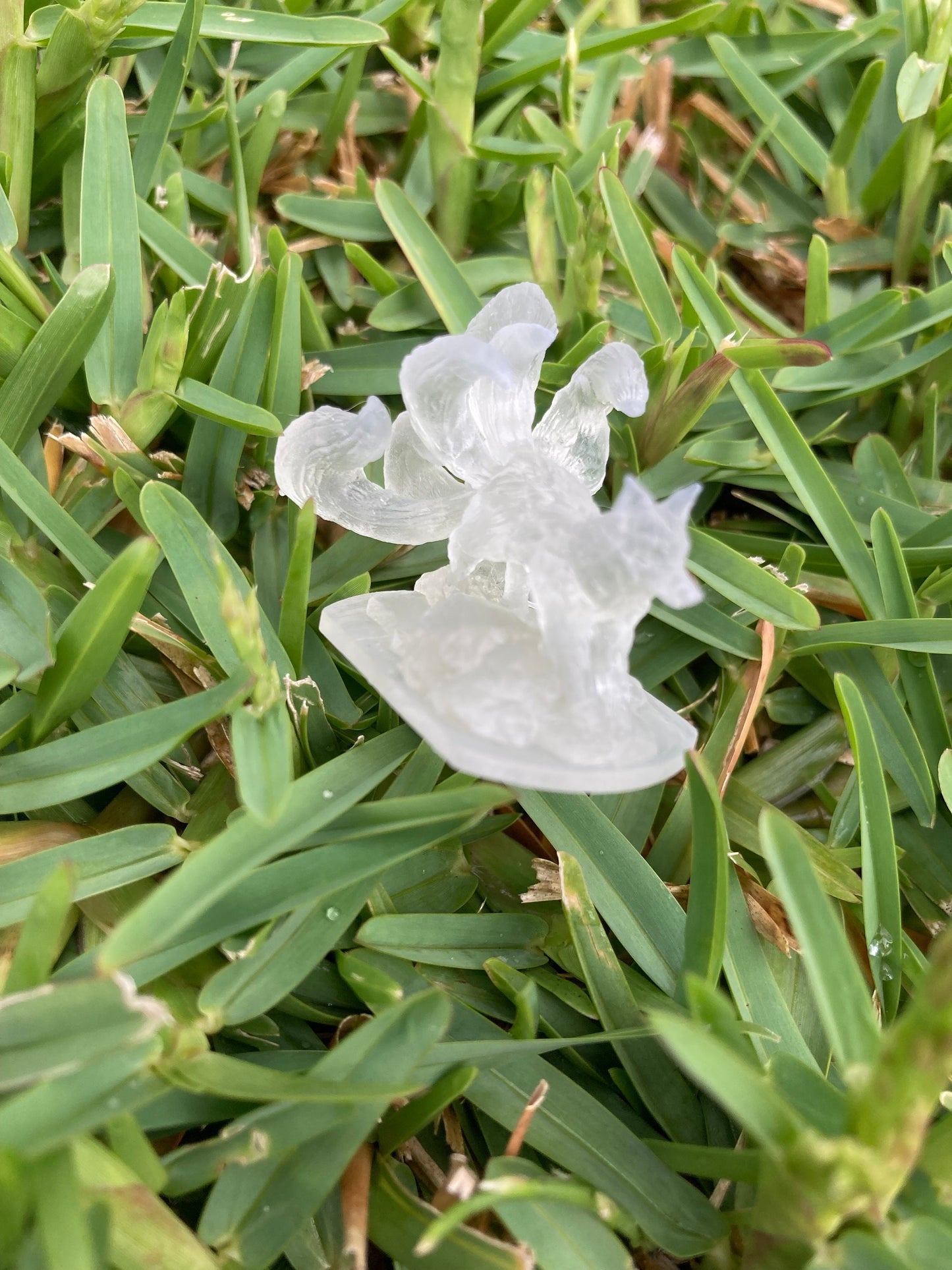 Kitsune - Brayan Nafarrate