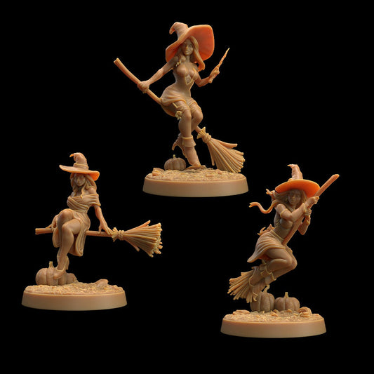 Witches (3 Variants Available) - Dragon Trapper's Lodge