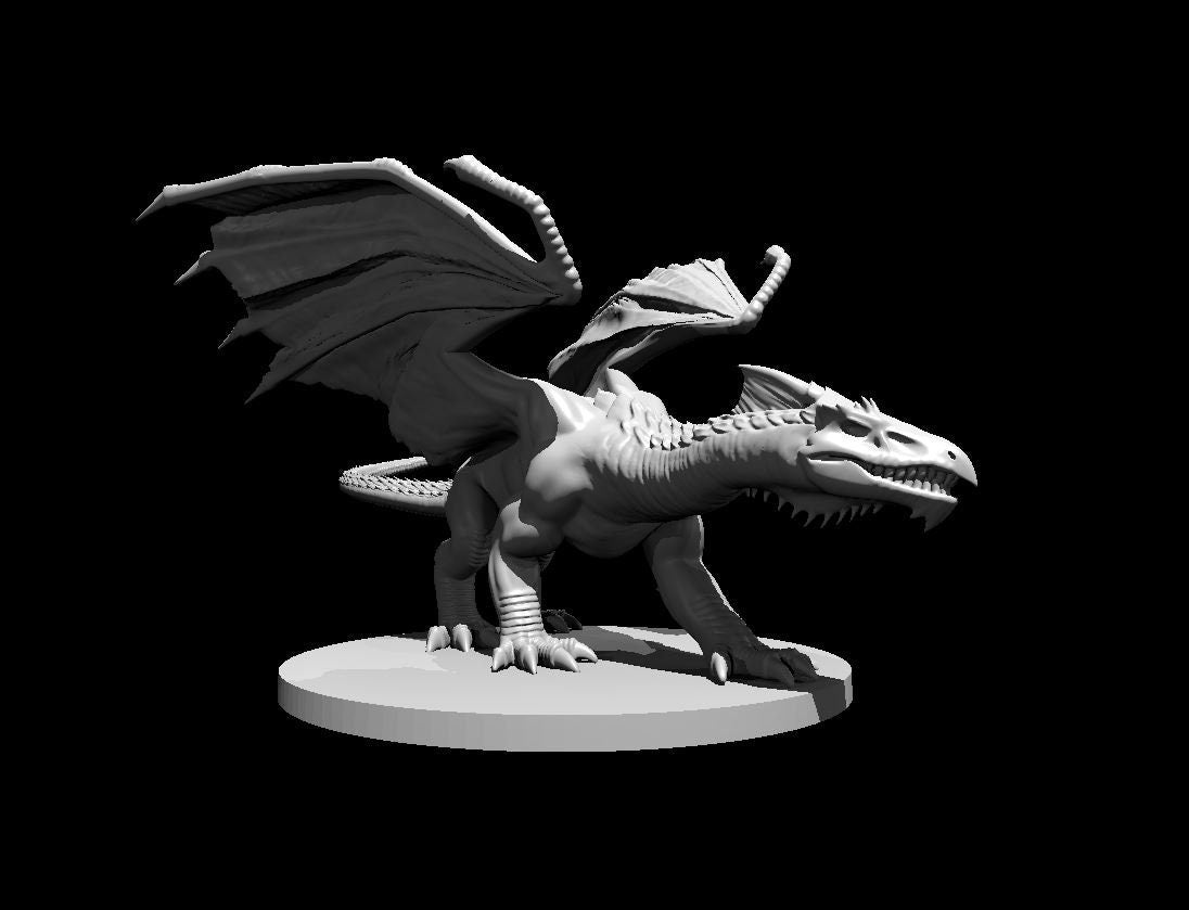 White Dragon (Various Ages and Poses) - MZ4250