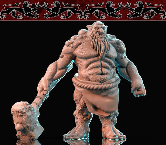 Troll - Brayan Nafarrate