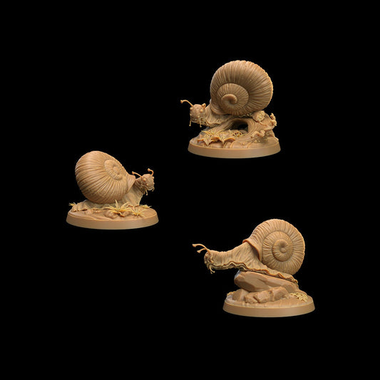 Small Snails (3 Variants Available) - Dragon Trapper's Lodge