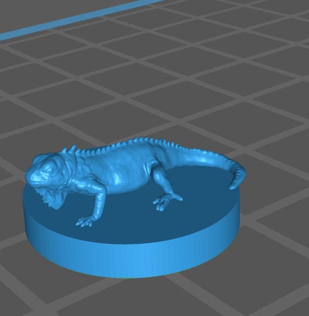 Lizards (2 Variants Available) - MZ4250