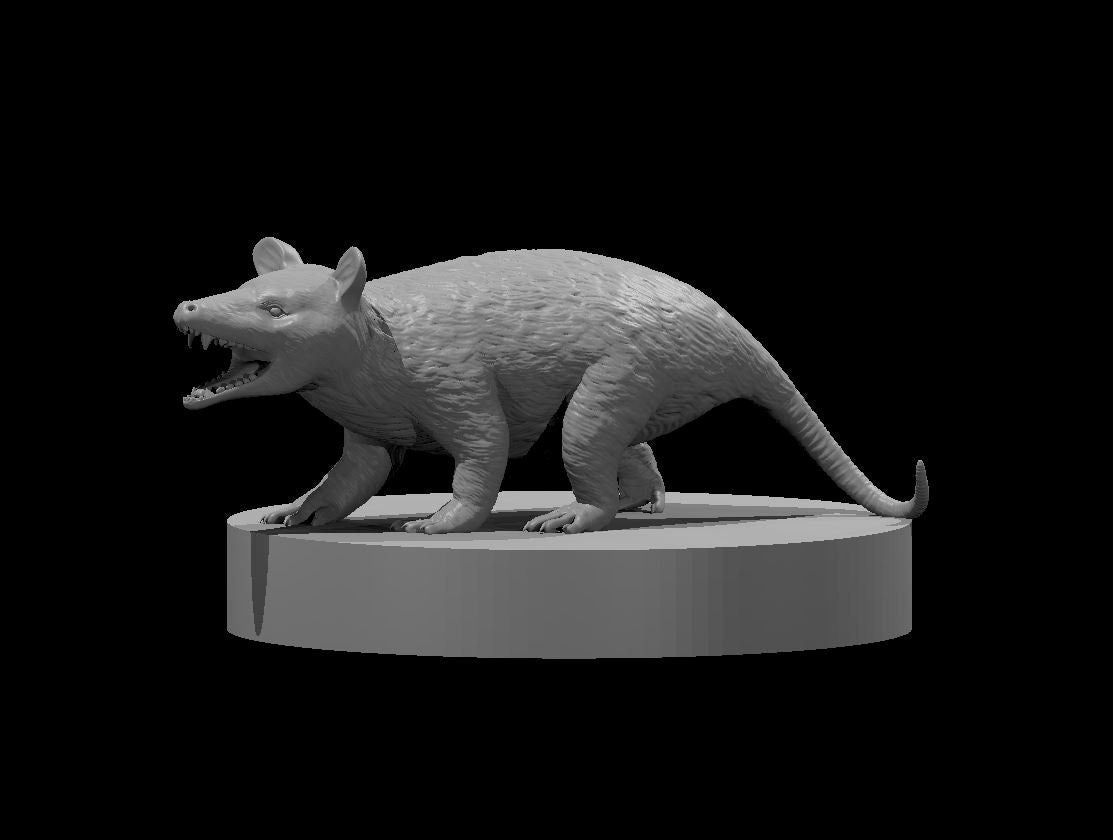 Opossum (2 Variants Available) - MZ4250