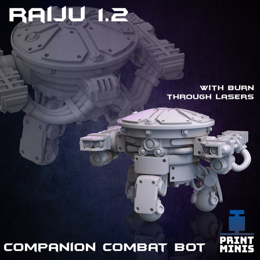 Rajiu Bot (2 Variants Available) - Print Minis