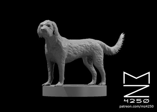 Labradoodle Cockapoo (2 Variants Available) - MZ4250