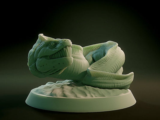 Eel - Brayan Nafarrate