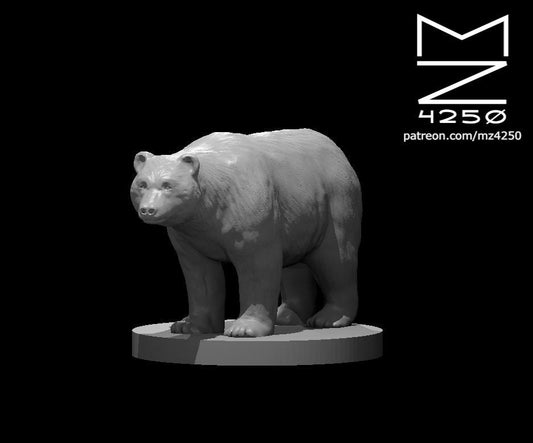 Bears (4 Variants Available) - MZ4250