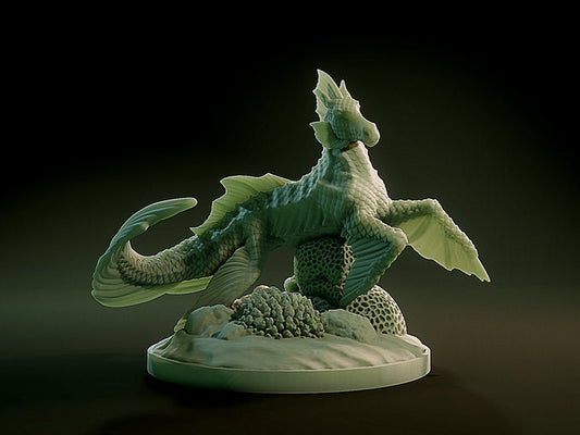 Sea Horse - Brayan Nafarrate