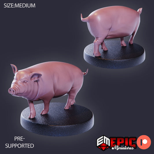 Farm Animal - Pig (3 Variants Available) - Epic Miniatures