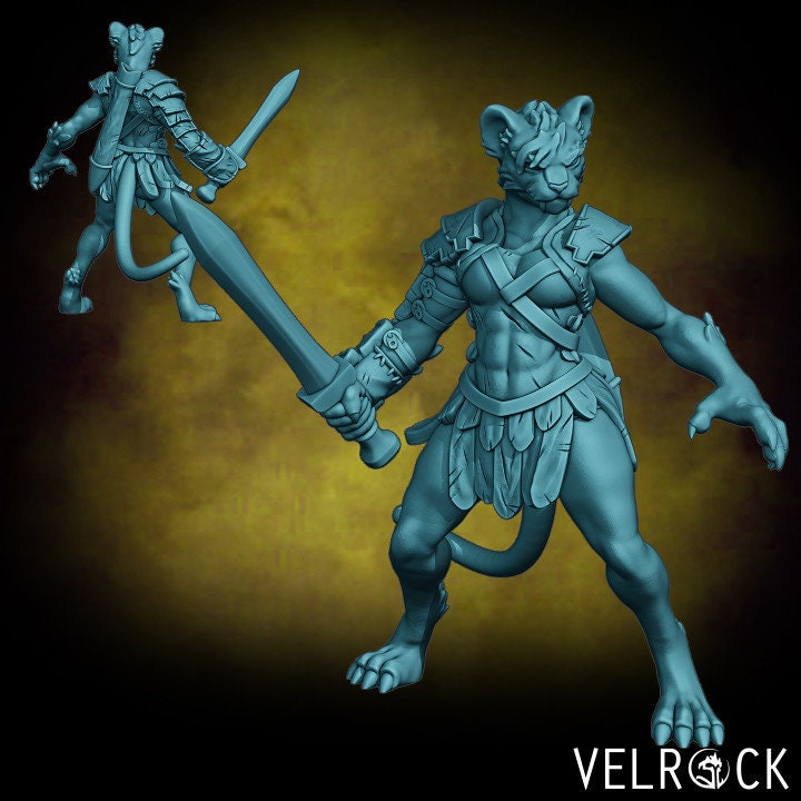 Veteran Swordsmen (5 Variants Available) - Velrock