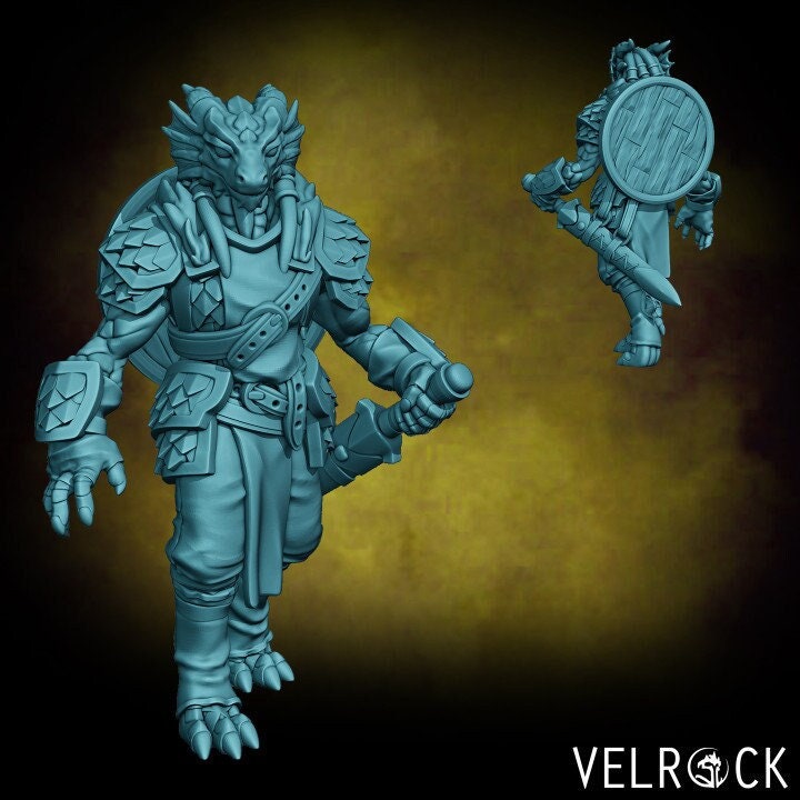 Dragonfolk Soldiers - Set 1 (5 Variants Available) - Velrock