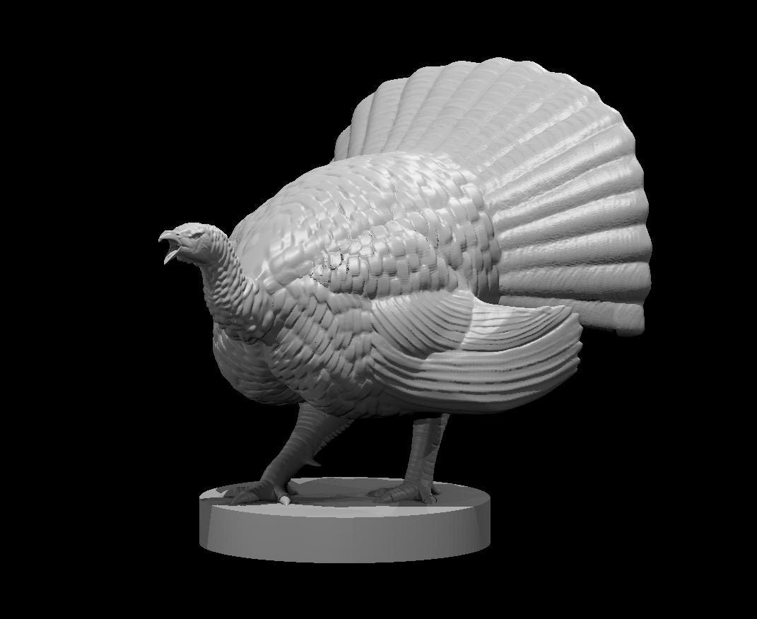 Turkey (3 Variants Available) - MZ4250