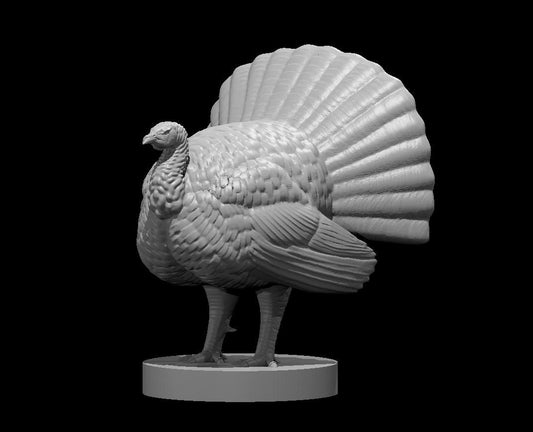 Turkey (3 Variants Available) - MZ4250