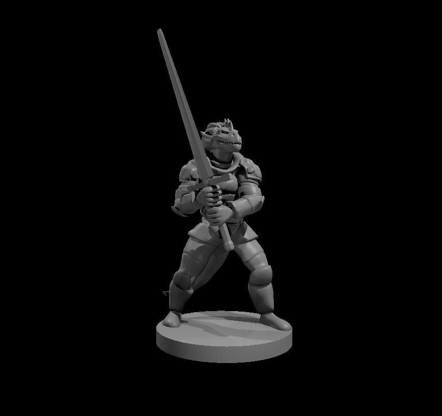 Dragonborn Fighter (6 Variants Available) - MZ4250