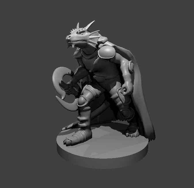 Dragonborn Fighter (6 Variants Available) - MZ4250