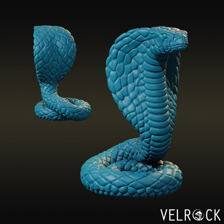 King Cobras (3 Variants Available) - Velrock