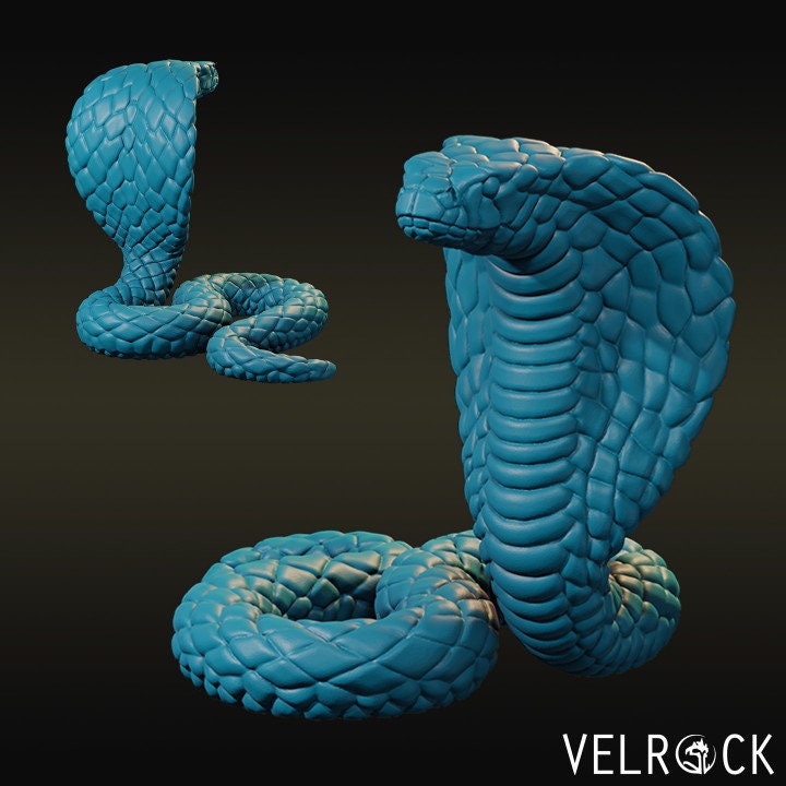 King Cobras (3 Variants Available) - Velrock