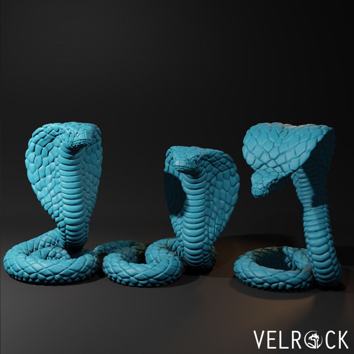 King Cobras (3 Variants Available) - Velrock