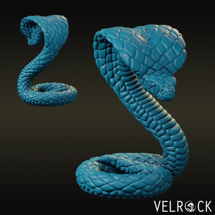 King Cobras (3 Variants Available) - Velrock